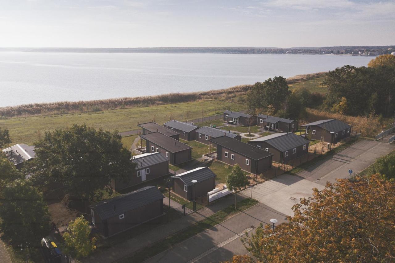 Lodgepark Goitzsche Gmbh Bitterfeld-Wolfen Exterior foto